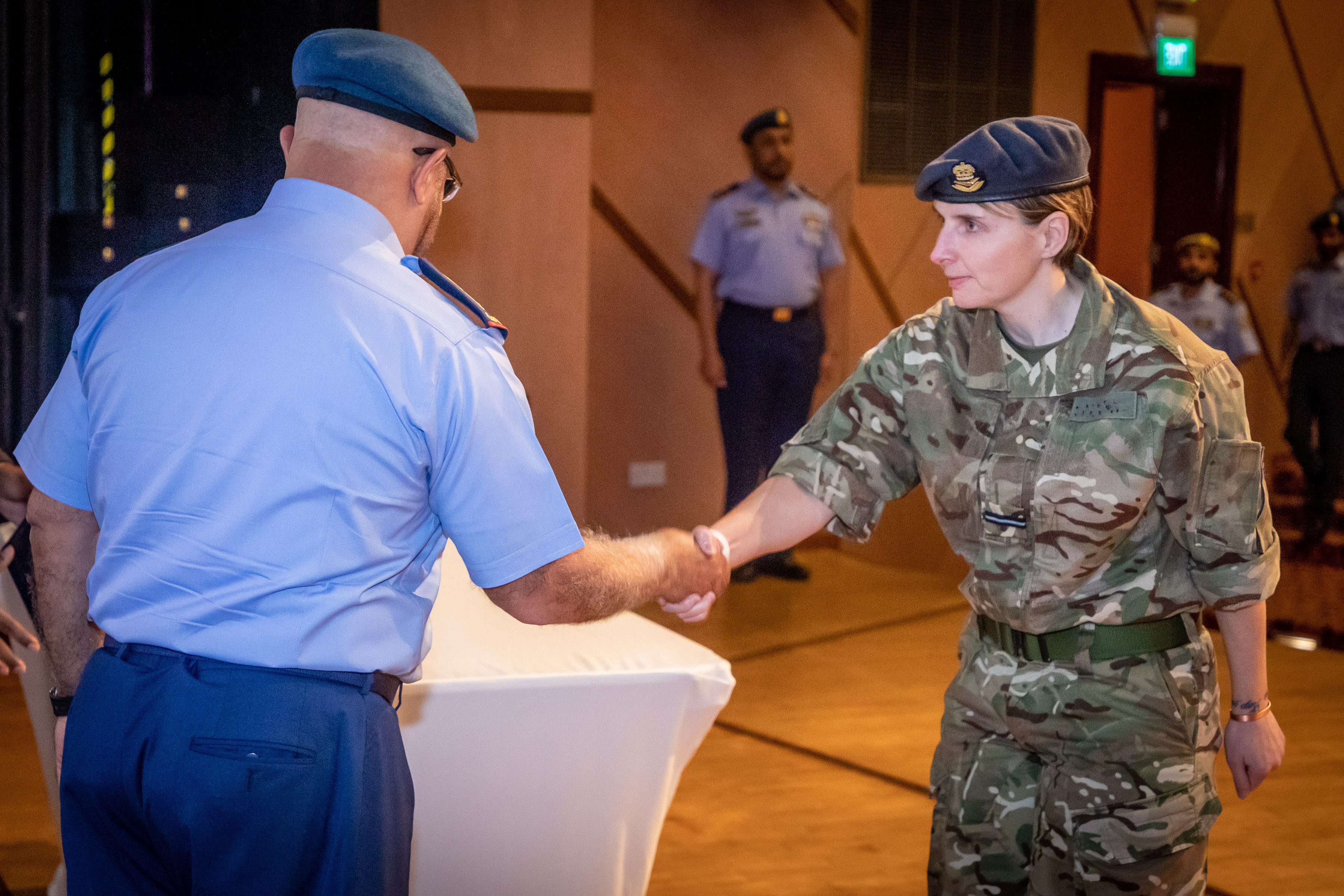 Image shows RAF aviators shaking hands.